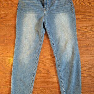 CURVE APPEAL Women blue stretch denim Jeans High-Rise Minimalist Jegging 16/33